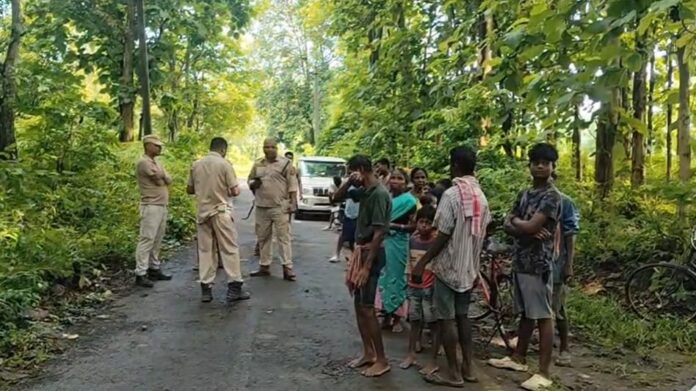 Man Killed in Wild Elephant Attack Near Kamakhya Reserved Forest in Kaliabor