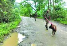 Kuki Organisation Calls 24-Hour NH-37 Shutdown After Kangpokpi Village Attack Kuki Organisation Calls 24-Hour NH-37 Shutdown After Kangpokpi Village Attack