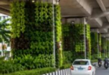 Work Begins on Vertical Garden Under Guwahati’s Bhagadatta Flyover Work Begins on Vertical Garden Under Guwahati’s Bhagadatta Flyover