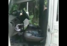 Search Intensified in Nagaland After IED Blast Kills Assam Rifles Jawan Search Intensified in Nagaland After IED Blast Kills Assam Rifles Jawan