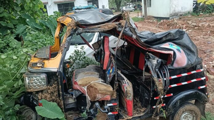 13-Year-Old Boy Killed, Three Injured After Autorickshaw Plunges Into Gorge in Assam’s Sribhumi