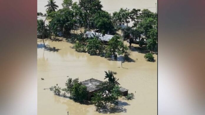 Assam Floods Affect Over Nine Lakh People as Death Toll Rises to 41