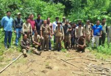 Missing Assam Forest Team Traced Safe After Two Days in Remote Border Forests Missing Assam Forest Team Traced Safe After Two Days in Remote Border Forests