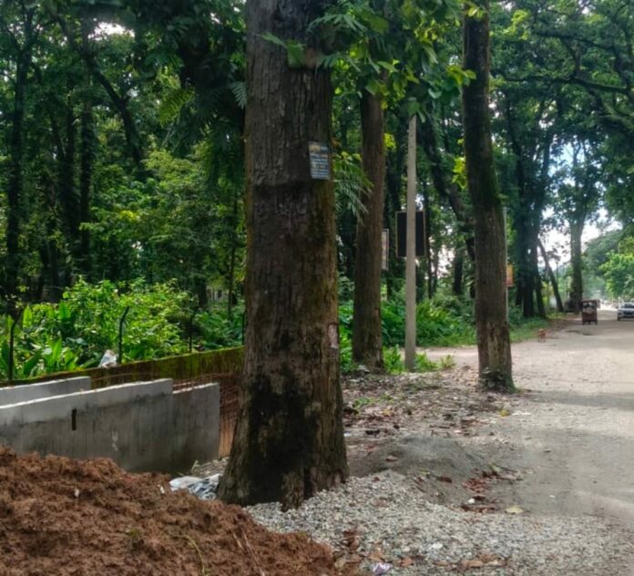 Conservation Group Urges BTC to Protect White-Rumped Vulture Habitat in Mahamaya Forest