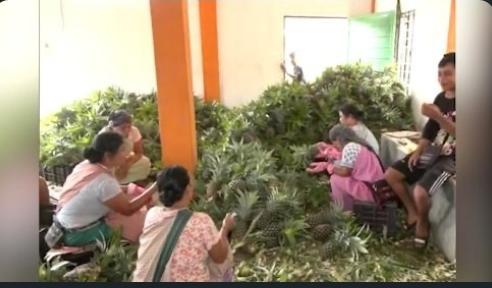 Meghalaya Women Farmers Boost Ri-Bhoi's Agricultural Economy Through Premium Horticulture