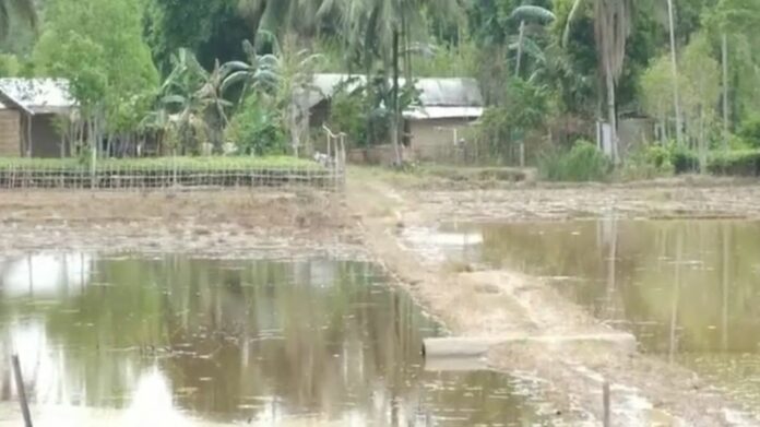 Golaghat Residents Seek Permanent Drainage Solution as Floodwaters Continue to Affect Low-Lying Villages