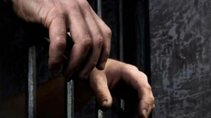 Nagaland POCSO Court Sentences 66-Year-Old Man to 20 Years for Rape of Minor