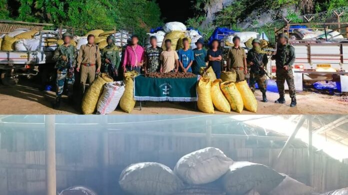 Assam Rifles, Forest Department Seize Protected Medicinal Plant Worth Rs 1.05 Crore in Mizoram