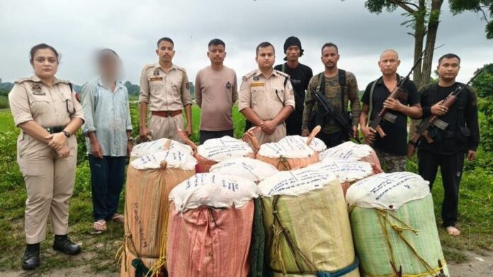 Udalguri Police Seize Ganja Worth Rs 1.72 Crore, Himanta Biswa Sarma Praises Anti-Drug Operation