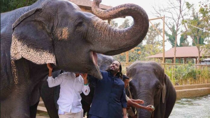 Assam CM Thanks Vantara Foundation for Supporting Wildlife Rescue Amid Flood Crisis