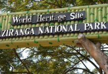 Assam plans to reduce Kaziranga ESZ to 1 km, says Sarma Assam plans to reduce Kaziranga ESZ to 1 km, says Sarma