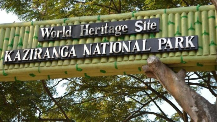 Assam plans to reduce Kaziranga ESZ to 1 km, says Sarma