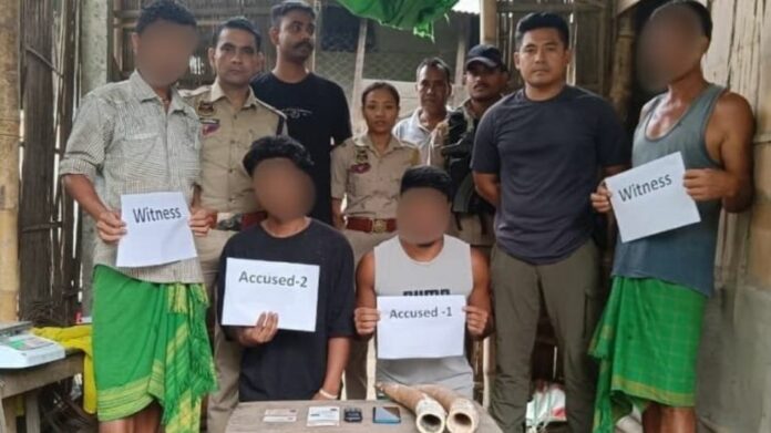 STF seizes elephant ivory, arrests two in Tamulpur