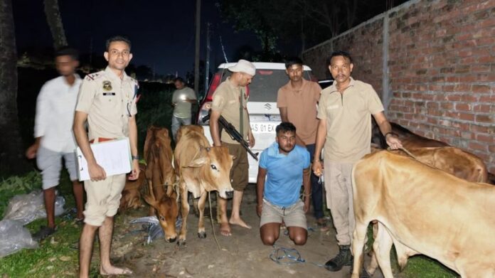 Police foil cattle smuggling attempt, arrest man in Dhubri