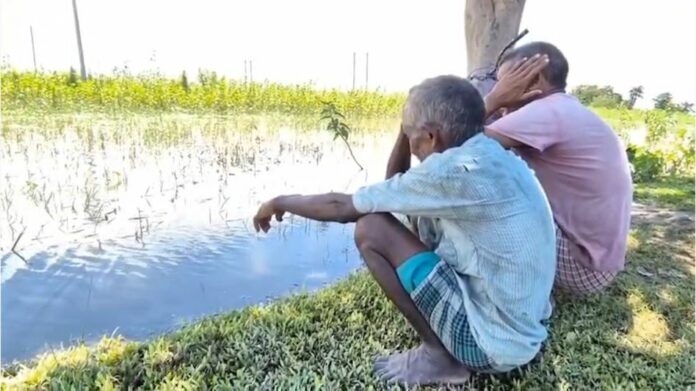 Floodwaters Submerge Paddy Fields in Kaliabor, Threaten Farmers’ Harvest