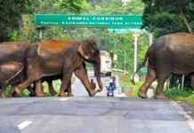 Himanta Biswa Sarma Clarifies Kaziranga Eco-Sensitive Zone Position, Says 10-Km Provision Continues for Now Himanta Biswa Sarma Clarifies Kaziranga Eco-Sensitive Zone Position, Says 10-Km Provision Continues for Now