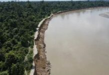 Burhi Dihing Erosion Threatens Kotha Reserved Forest in Assam, Nearly 70 Hectares Reportedly Lost Burhi Dihing Erosion Threatens Kotha Reserved Forest in Assam, Nearly 70 Hectares Reportedly Lost