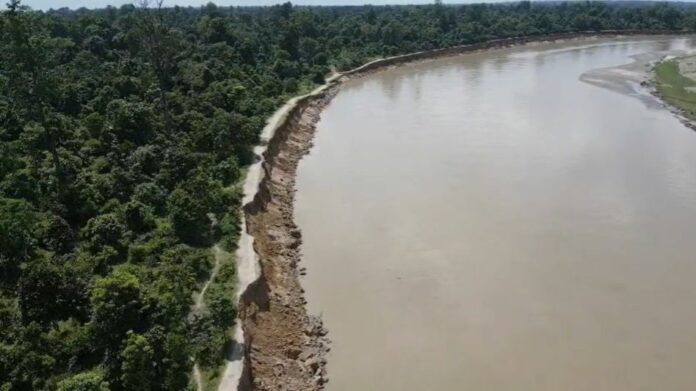 Burhi Dihing Erosion Threatens Kotha Reserved Forest in Assam, Nearly 70 Hectares Reportedly Lost