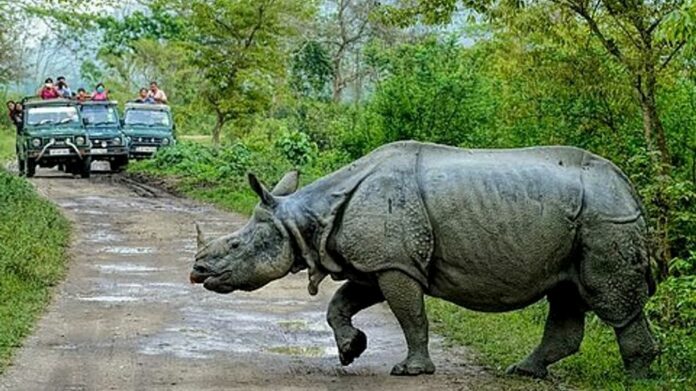 Assam Govt Clarifies Kaziranga Eco-Sensitive Zone Position, Says Move Follows Supreme Court Guidelines