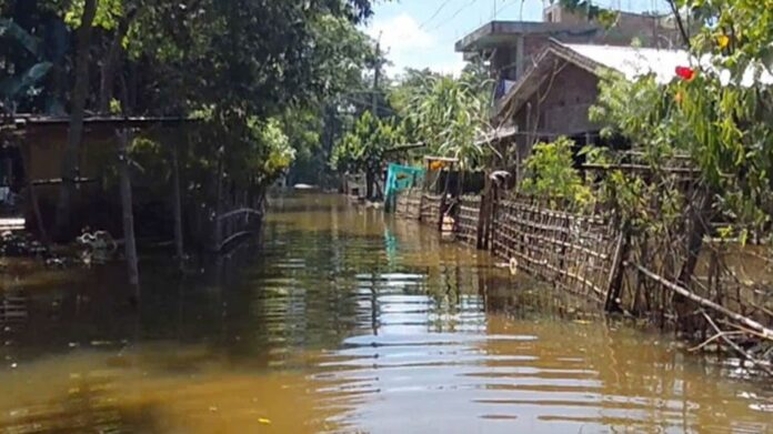 Flood-Hit Bihubor Struggles to Recover as Receding Waters Leave Trail of Mud and Loss