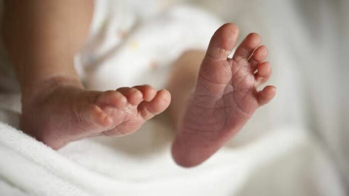 Newborn Found Abandoned in Forested Area in Guwahati