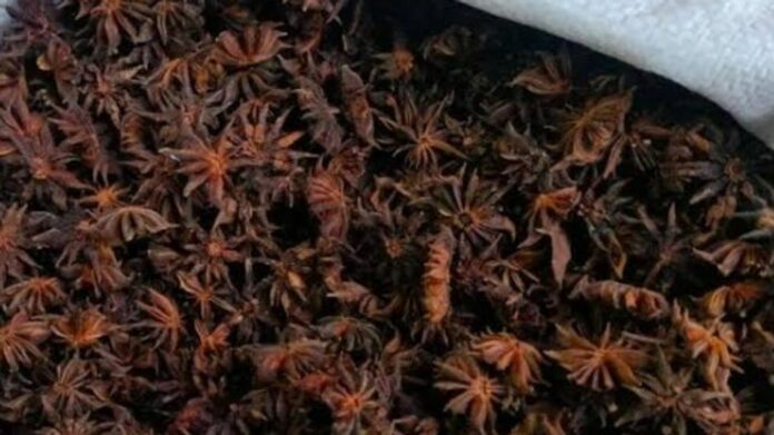Arunachal’s Traditional Khagi Spice Generates Rs 39 Lakh for 200 Households