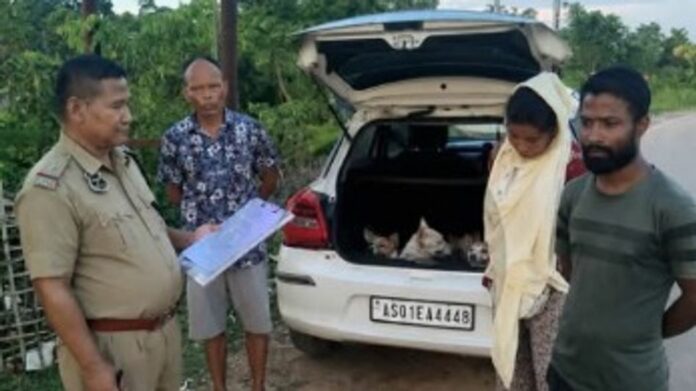 Karbi Anglong Police Rescue Dogs From Alleged Animal-Smuggling Operation