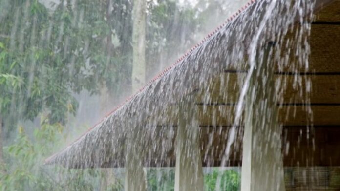 IMD issues yellow alert for Arunachal Pradesh amid heavy rain forecast