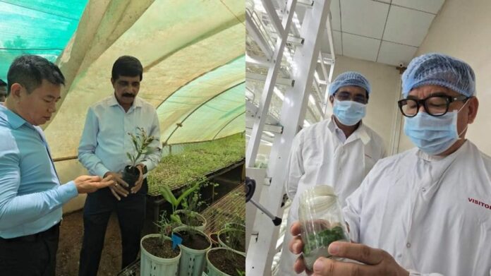 Arunachal Agriculture Entrepreneur Offers 10 Acres to Promote Tissue Culture Technology