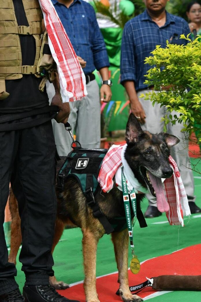 Kaziranga’s ‘Super Sniffer’ K9 Leon Retires After Eight Years of Anti-Poaching Service