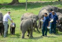 Kaziranga Wildlife Centre Rescues Over 10,000 Animals in 25 Years Kaziranga Wildlife Centre Rescues Over 10,000 Animals in 25 Years