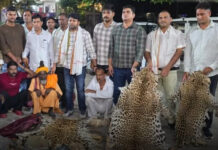 Probe Into Alleged Wildlife NGO-Poaching Nexus After Seizure of 10 Leopard Skins