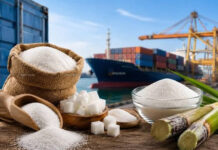 Sugar Prices Rise Sharply as Centre Rejects Ethanol Link