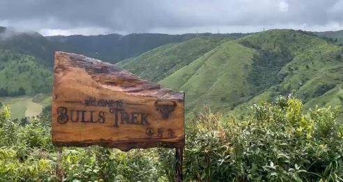 Bulls Trek Near Shillong Offers a Peaceful Escape into Meghalaya’s Natural Beauty