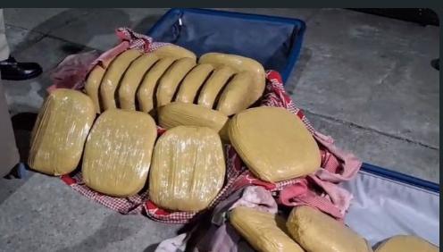 Railway Police Seize 42.41 Kg Cannabis at New Bongaigaon Station, One Held
