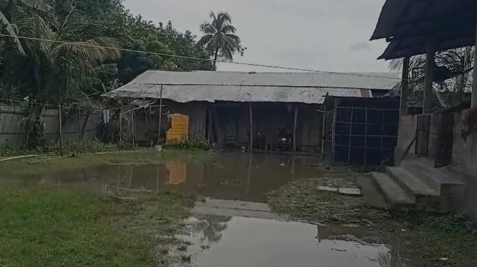 Artificial Flood Submerges Roads, Farmlands in Nagaon’s Rupahihat