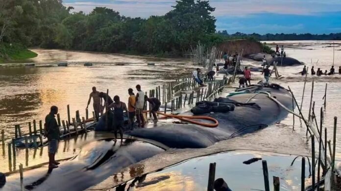 Assam Flood Situation Improves, Dhansiri River Remains at Severe Flood Level
