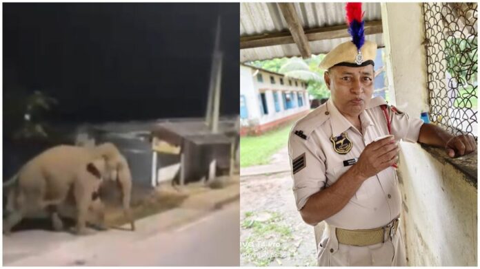 Wild Elephant Kills Assam Police Personnel in Goalpara