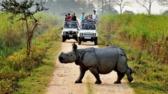 Gaurav Gogoi Questions Assam Government Over Kaziranga Gazette Notification