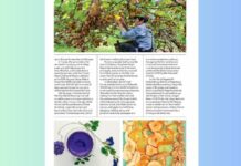Tripura Women’s SHG Products Featured in IndiGo In-Flight Magazine Tripura Women’s SHG Products Featured in IndiGo In-Flight Magazine