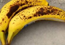 Arunachal Police Probe Alleged Chemical Use to Ripen Bananas in Naharlagun Arunachal Police Probe Alleged Chemical Use to Ripen Bananas in Naharlagun