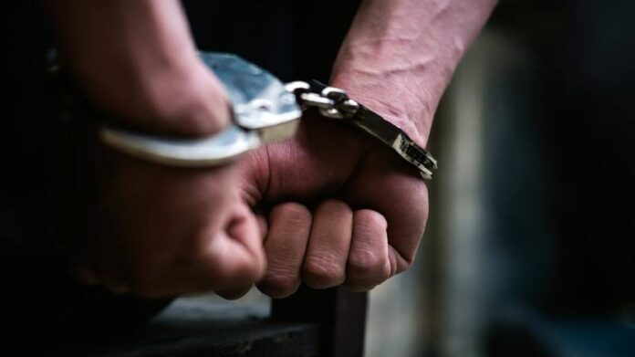 Assam Police Arrest Alleged Key Handler in Lower Assam Cattle Theft Network
