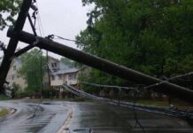 One dead after 11-KV line falls on passenger vehicle in Meghalaya One dead after 11-KV line falls on passenger vehicle in Meghalaya