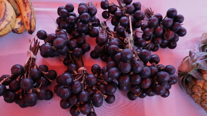 Sohiong Sells Out at Shillong Farmers’ Market
