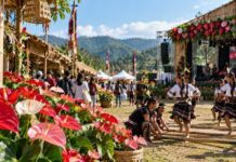 Mizoram to Host Three-Day Anthurium Festival 2026 in Mamit District from October 1 Mizoram to Host Three-Day Anthurium Festival 2026 in Mamit District from October 1