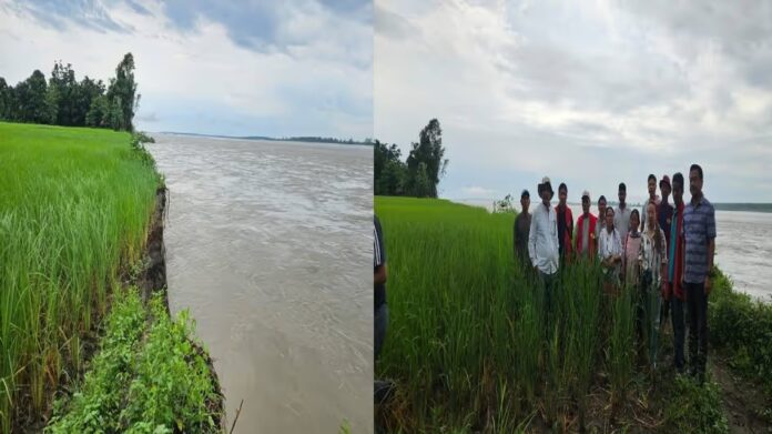 Siang River Erosion Damages Paddy Fields in Arunachal’s East Siang