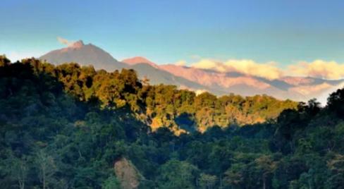 Assam Approves Rs 534 Crore Wildlife Safari and Rescue Centre in Dibrugarh