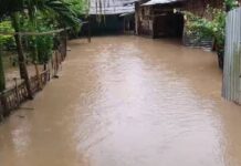 Over 50 families affected as hill water floods Assam’s Kaliabor