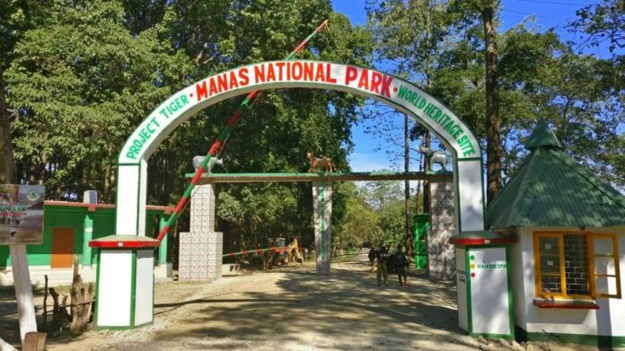 Assam Wildlife Tourism Season Begins as Manas, Kaziranga and Pobitora Reopen