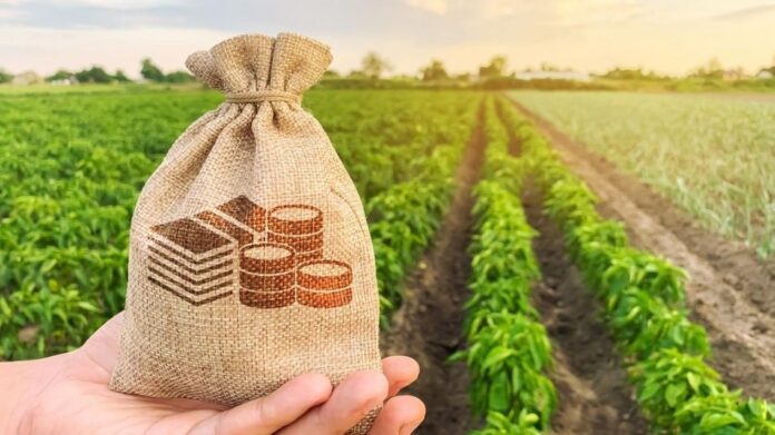 Assam targets 3.49 lakh KCC accounts under farm loan resolution plan